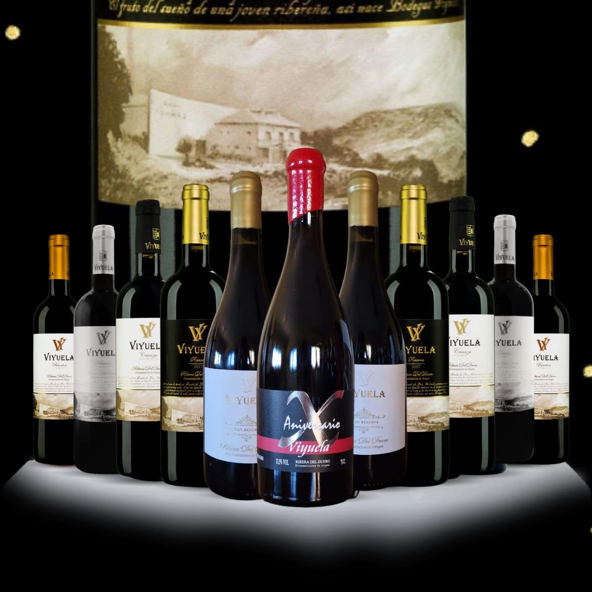 vino3